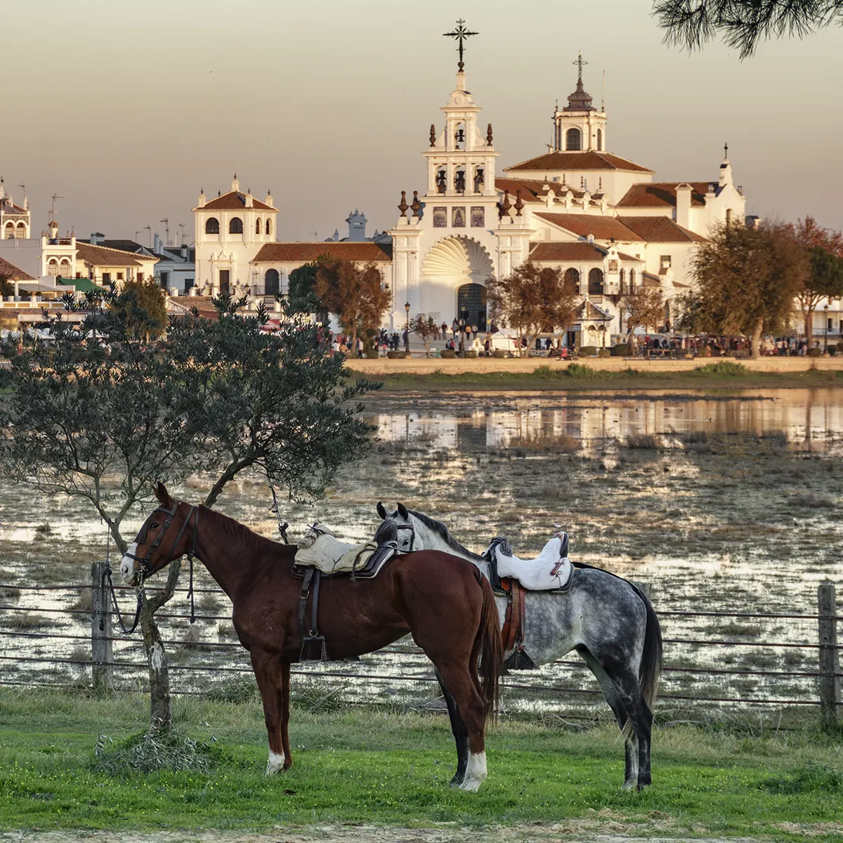 excursion almonte aldea del rocio huelva